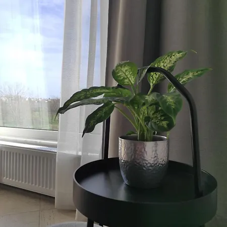 Tabacariei * Constanţa