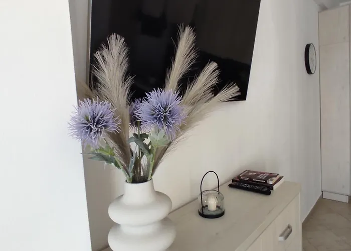 Apartman Tabacariei *